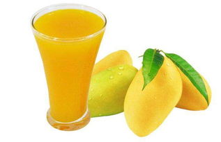 夏日饮品店经营之道 冷饮为主，四季均衡